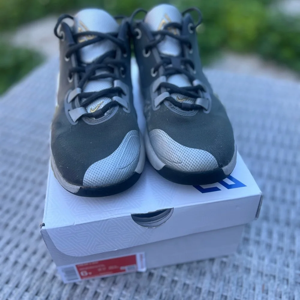 Giannis Antetokounmpo Nike Freak 1 Black/Silver Size 6